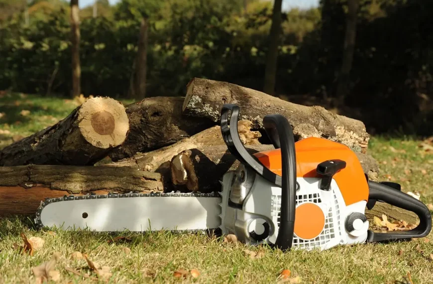 chainsaw-buying-guide