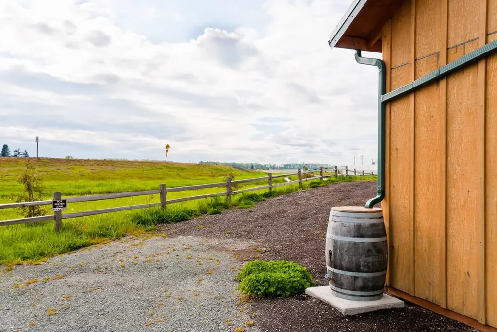 rain-barrel