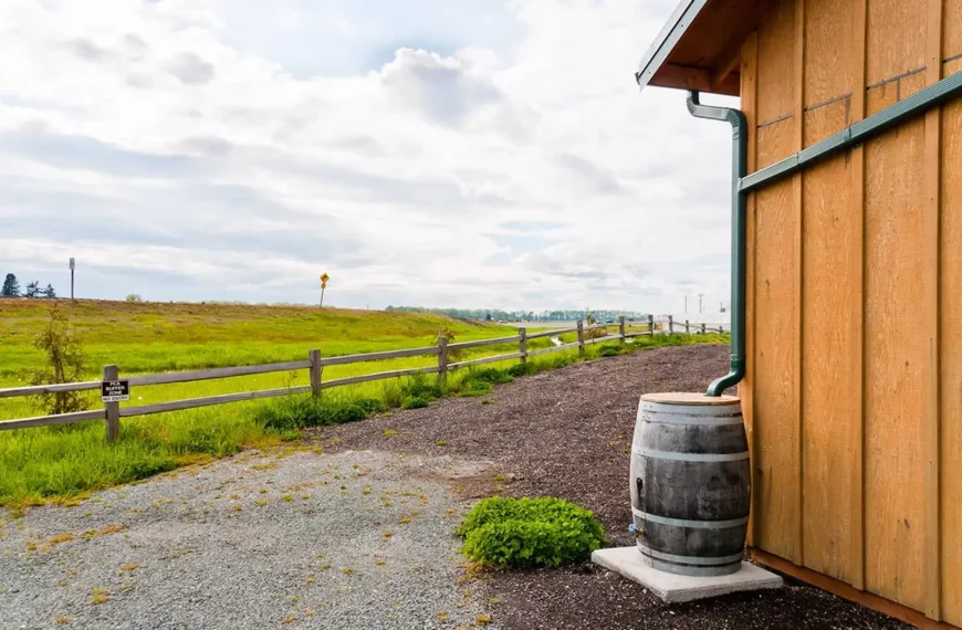 rain-barrel